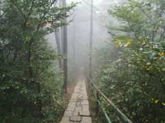 -四明山国家森林公园