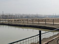 -溱湖国家湿地公园