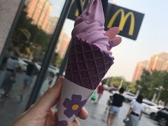 -麦当劳(安立路店)