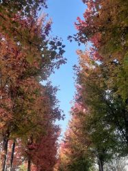 -Oasis Beauty水磨坊科技美肤中心