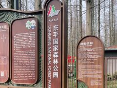-东平国家森林公园