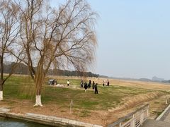 -阳澄湖半岛旅游度假区