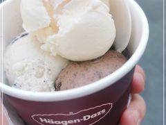 -哈根达斯(武汉天地店)