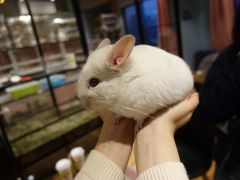 -藦茜花园宠物主题亲子互动体验馆(国顺东路店)