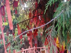 -仙海旅游度假区