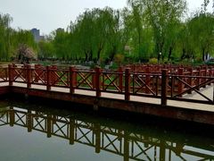 -丰台科技园生态主题公园
