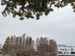 -华南国家植物园-售票处