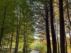 -昆山城市生态森林公园