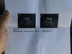 -北京赛佳动物医院