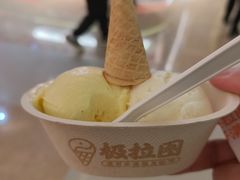 -极拉图·现制冰淇淋(大卫城店)