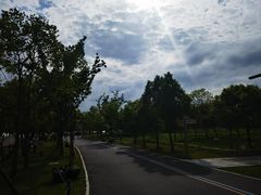 -上海滨江森林公园