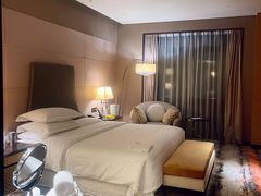 -西安赛瑞喜来登大酒店