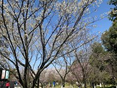 -玄武湖景区-情侣园游乐场