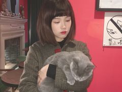 -猫色咖啡·猫咖