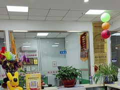 -利又安动物医院··老年病·猫科犬科·中兽医