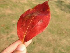 -艾溪湖湿地公园