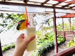 -卷心菜和避孕套餐厅(Pattaya)