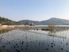 -顺峰山公园