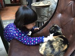 -杨桃院子旅馆(厦门鼓浪屿中华红墨店)