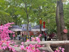 -洛阳花果山景区