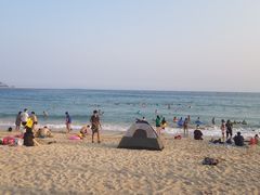 -墨脱石锅椰子鸡•香草鸭•东山羊(大东海店)