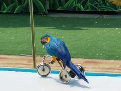 -大连森林动物园