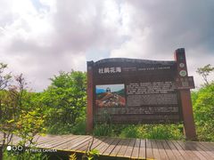 -大围山国家森林公园