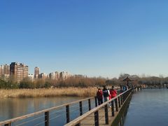 -前关湿地公园