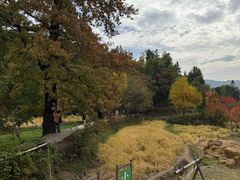 -塔川景区
