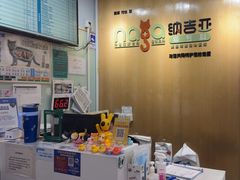 -纳吉亚猫专科动物医院博雅分院