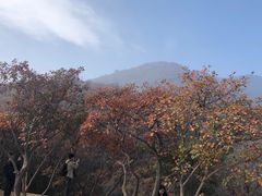 -周口店坡峰岭风景区