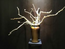 -盘子女人坊古装写真摄影(天津总店)