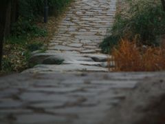 -新江湾城公园