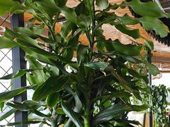 -盐帮食坊•小河帮川菜(四川师大店)