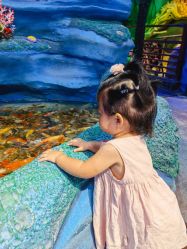 -酷嗒动物文化乐园(cutezoo西溪乐天城店)