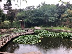 -太子山公园(园东路)