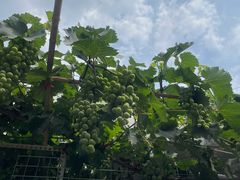 -老北京兔儿爷(杨梅竹斜街店)