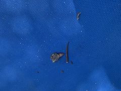 -亚马逊丛林水乐园