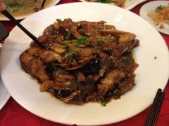 红烧鮰鱼-桦立酒家(宜山路店)