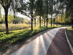 -中关村生命科学园