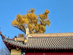 -狼山风景名胜区