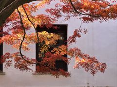 -无锡惠山寺