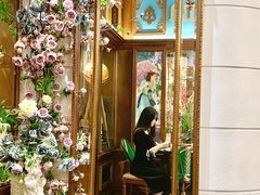 -秘密旅行Bonjour(黑金冠 江南西店)