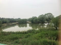 -北京麋鹿生态实验中心