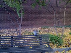 -宾夕法尼亚大学沃顿商学院