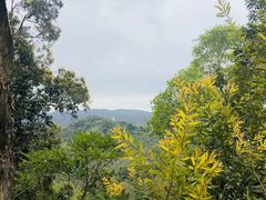 -狮子山郊野公园