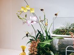 -北京植物园-展览温室