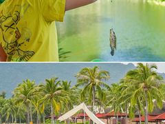 -三亚太阳湾柏悦酒店