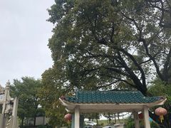 -芦苞胥江祖庙