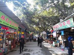 -桂林市花鸟市场